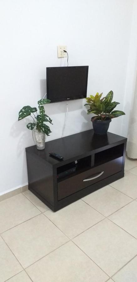 פראייה גראנדה Apartamento No Canto Do Forte, Wi-Fi, Estacionamento Gratuito E Churrasqueira מראה חיצוני תמונה